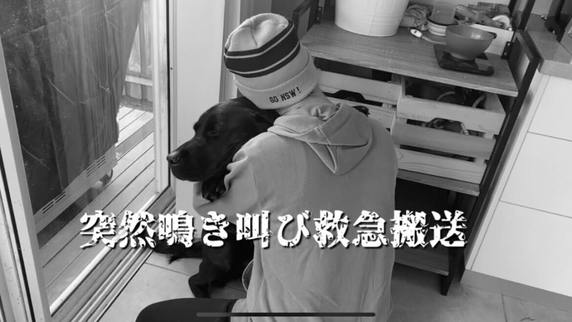 救急搬送からの4日間