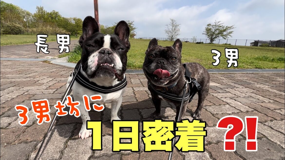 やんちゃ坊主の３男坊に密着したはずが…⁈