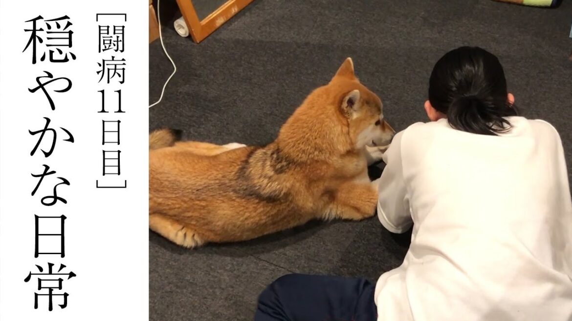 病はどこへ？家族と過ごす穏やかな時間