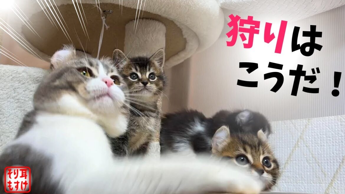 苦手な狩りを子猫達に直伝するパパがカッコ良すぎて惚れてしまうｗ【奇跡のイクメン猫】