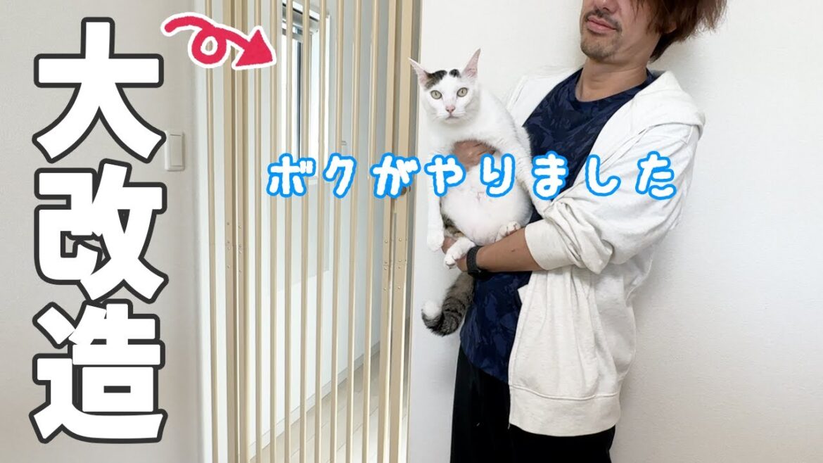チロさんがママの服を食べるので部屋を大改造します！【猫の異食症対策】