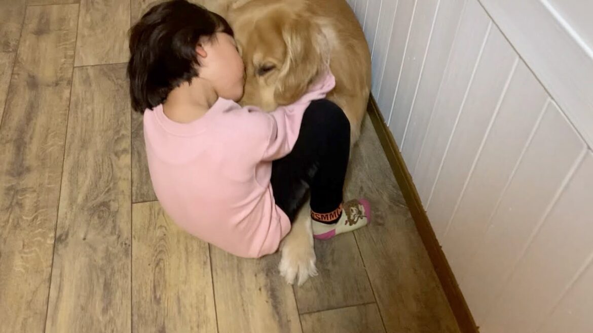 大好きな娘との遊び時間が終わりを告げると、あからさまにションボリする愛犬が可愛いw