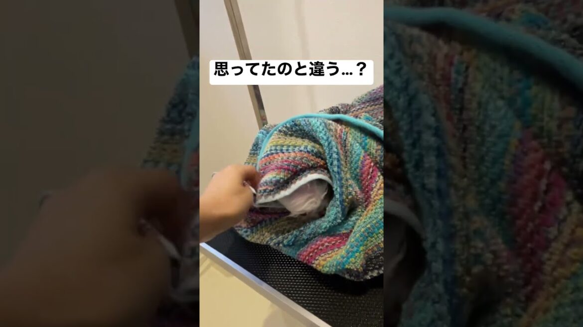 もふもふポメラニアンの正体