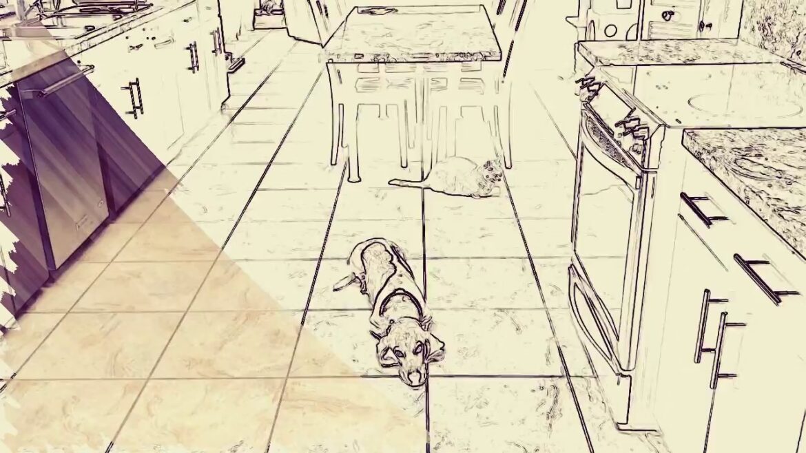 Basset House (バセットハウンドの家)