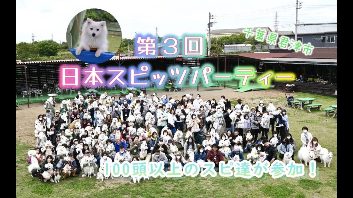 第３回スピッツパーティーに行ったよ！【日本スピッツじゃむのオフ会】