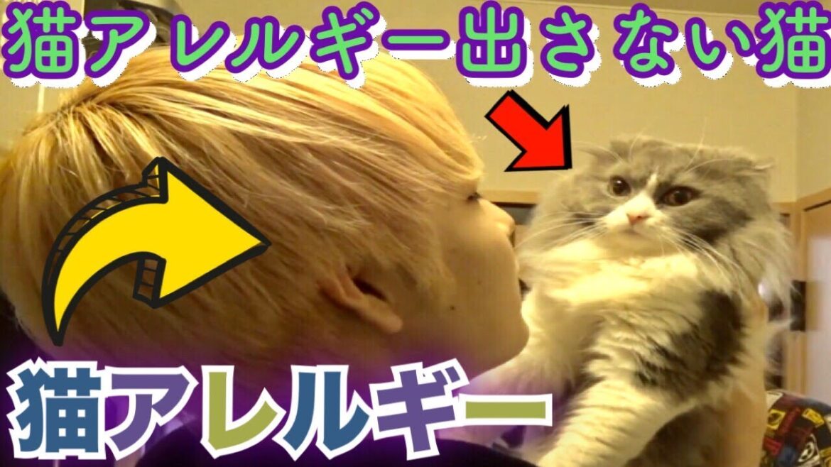 【朗報】猫アレルギーを出さない種類が存在した！【猫好き必見】