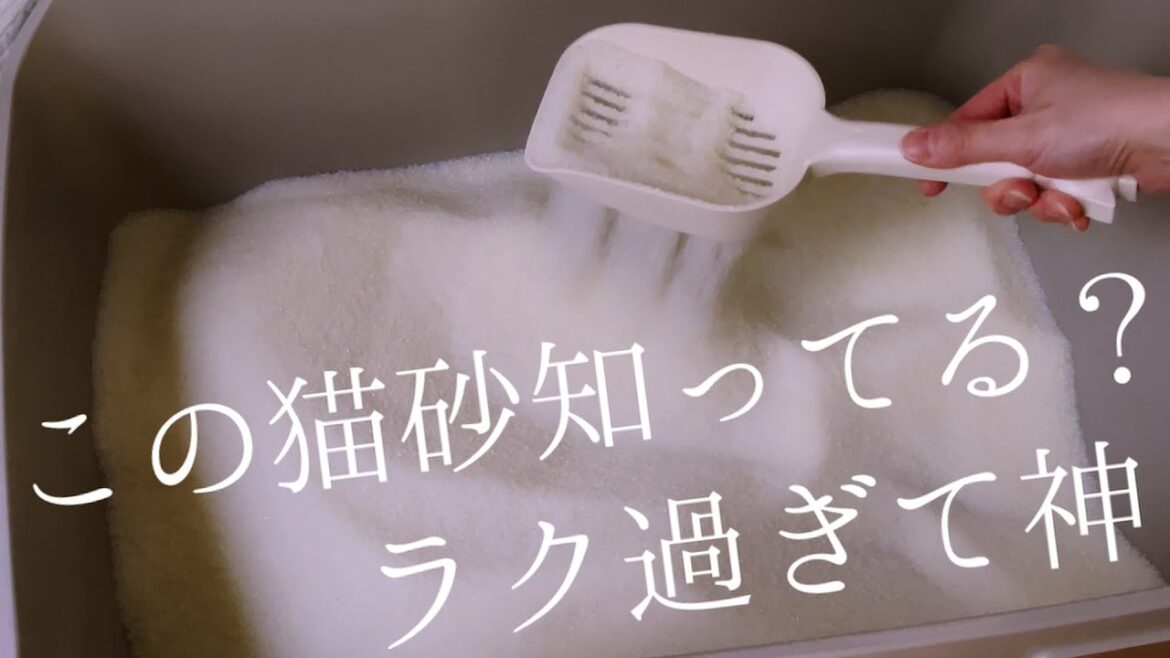 【絶対知っておいてほしい優秀すぎる猫砂】災害時にも備えたおきたい!猫が喜ぶ猫砂だから粗相しちゃう猫ちゃんにも使ってみて! 【絶対知っておいてほしい優秀すぎる猫砂】災害時にも備えたおきたい!猫が喜ぶ猫砂だから粗相しちゃう猫ちゃんにも使ってみて!