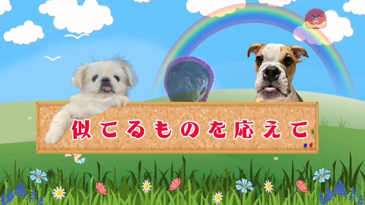 一番似てると思うものをお答えください！　たまにやってくるBBAの【悪ノリ企画】です