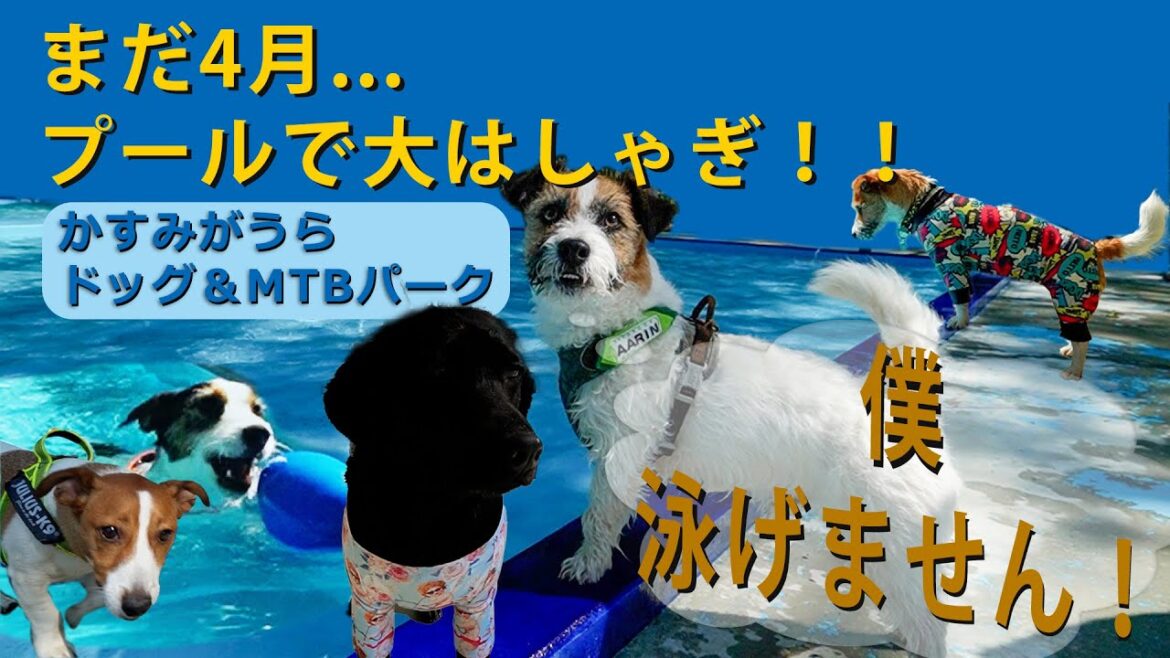 まだ4月...かすみがうらドッグ＆MTBパークで水遊び！