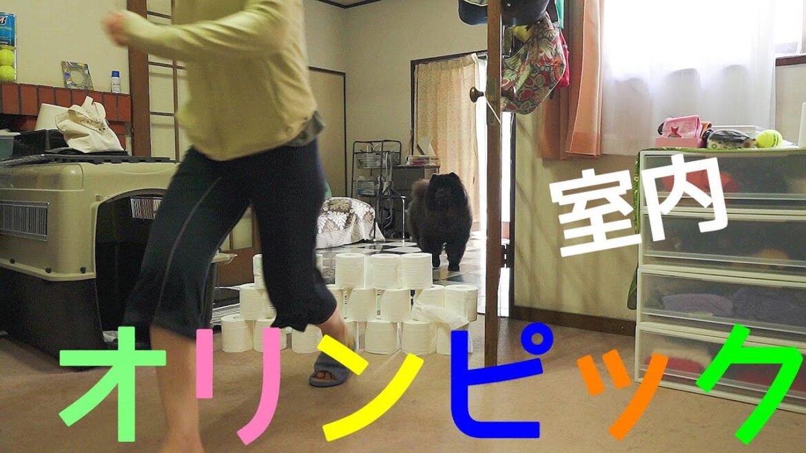オリンピックのまね事を企んだママだがチャウチャウの反応がシビアだったWWW
