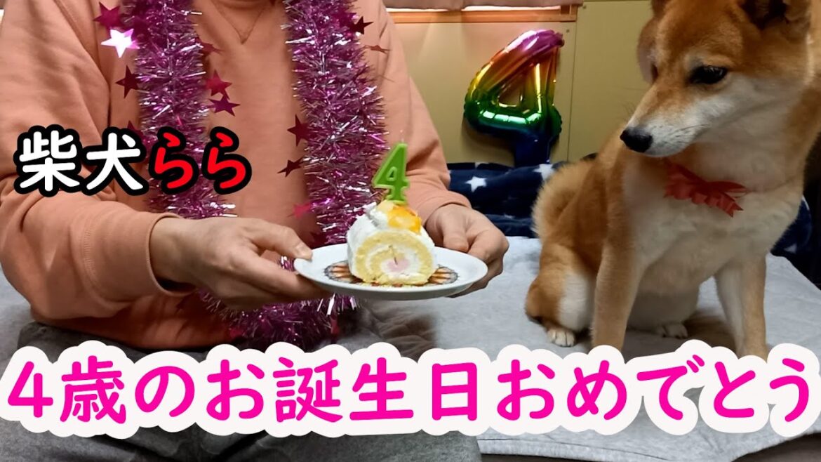4歳のお誕生日おめでとう