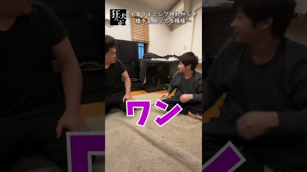 存在感をアピールするドーベルマン