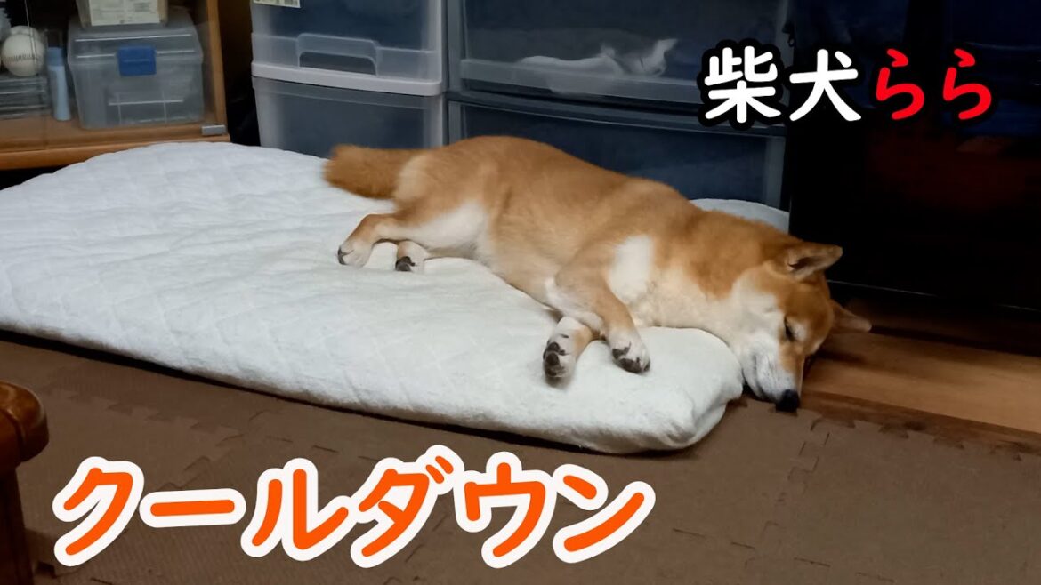 クールダウン