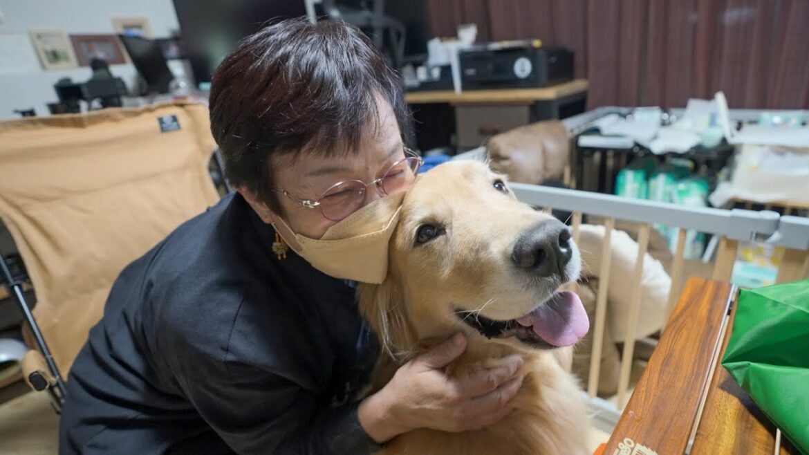 一年ぶりの沖縄ばぁばとの再会に大喜びの愛犬