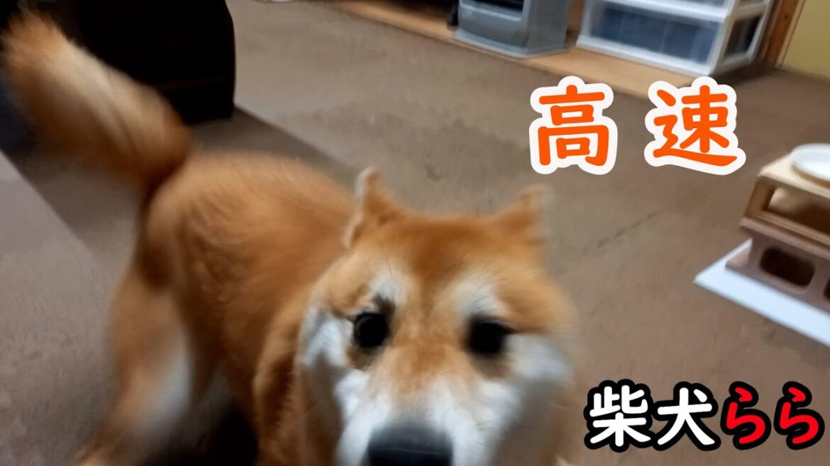 高速