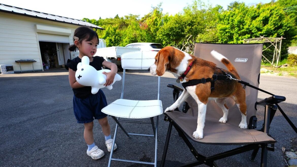 【激混みGWの過ごし方】ビーグル犬と姫様と一緒に実家で家族団らんに癒されました