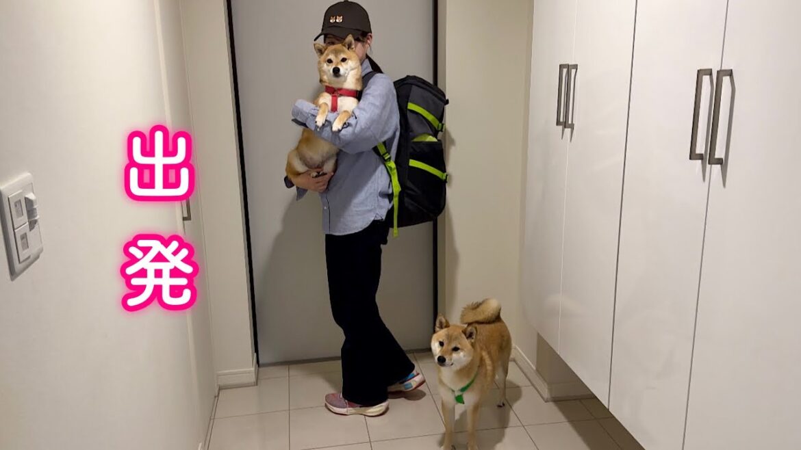愛犬とこれから長い旅に出ます 愛犬とこれから長い旅に出ます