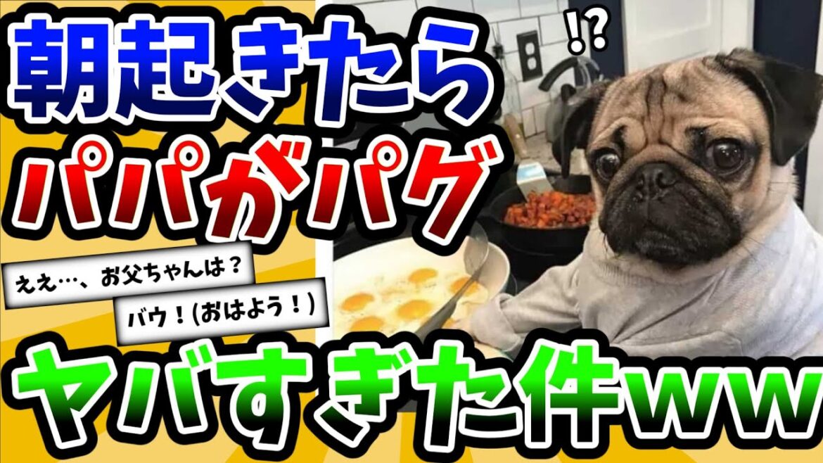 【2ch動物スレ】お父さんみたいなパグが可愛くてヤバすぎた件ｗｗｗ