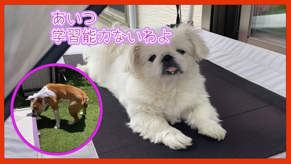 竹子のピンチは蜜の味 by梅子　ここにきて学習能力のなさを見せつける竹子です