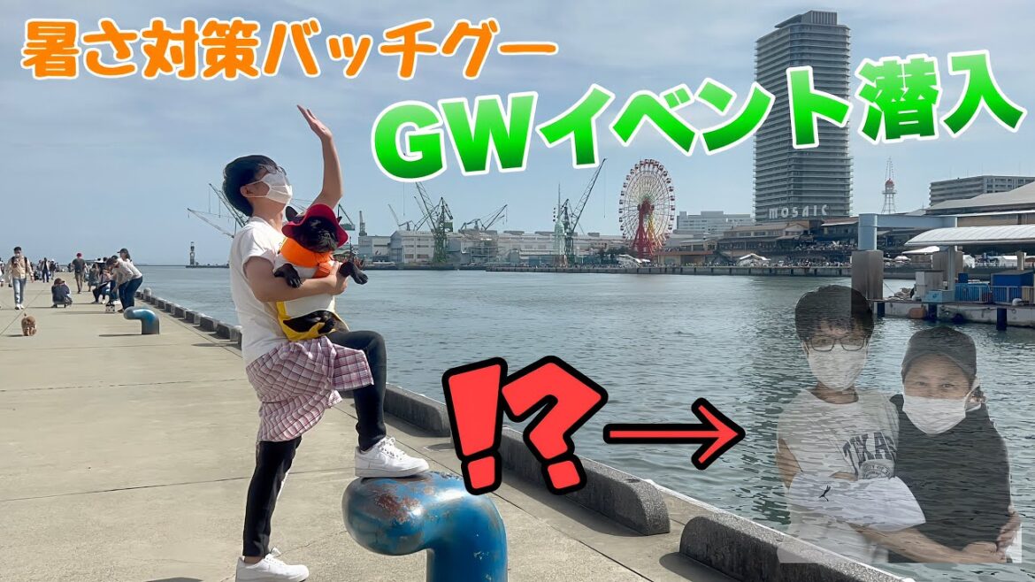 【GW特集】久々にソロでイベント参戦してみた【フレンチブルドッグ】