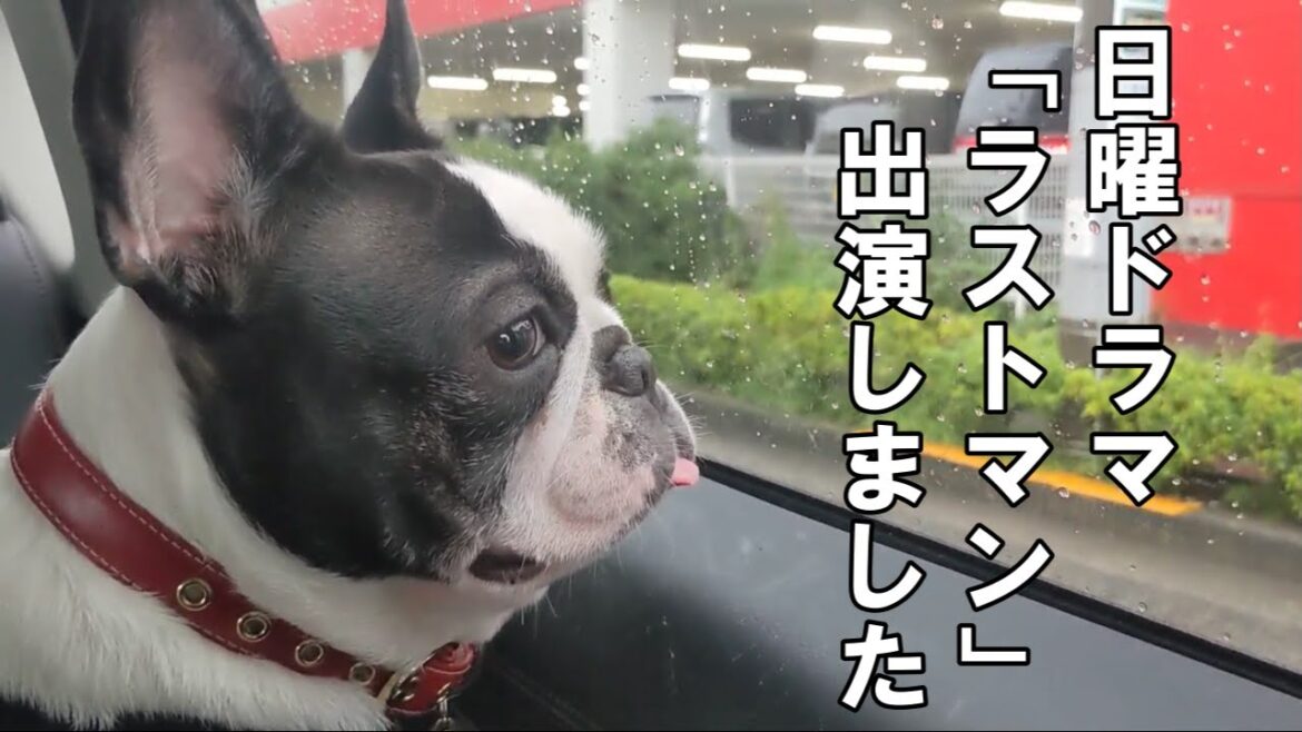 ドラマ「ラストマンー全盲の捜査官ー」に出演しました！
