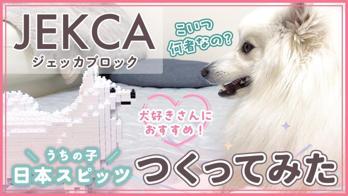 ブロックで日本スピッツ作って愛犬に見せてみた【JEKCA】