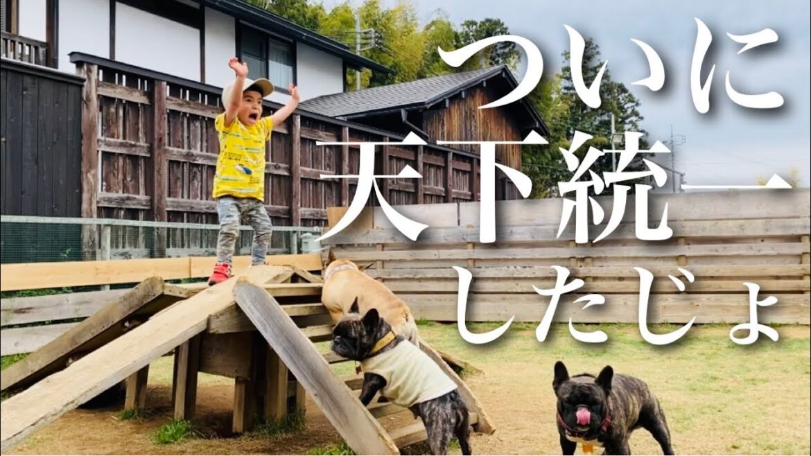 ついに子供が犬達を支配して天下統一しました