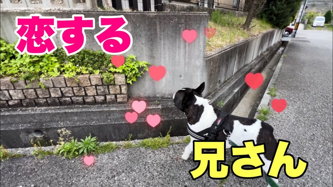 わが家の長男にも春がきた⁈ルンルンのお尻がかわいいｗ～他3本～