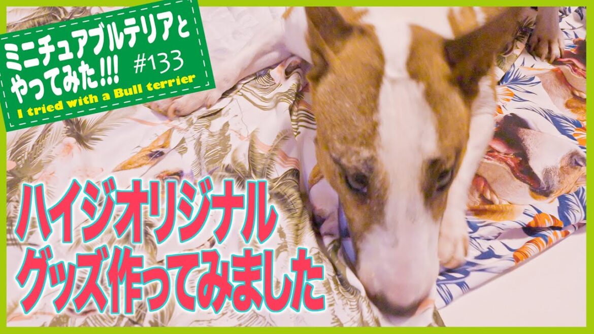 ［ブルテリア］Miniature Bull Terrier  ハイジオリジナルグッズ作ってみました。I made Heidi's original goods.