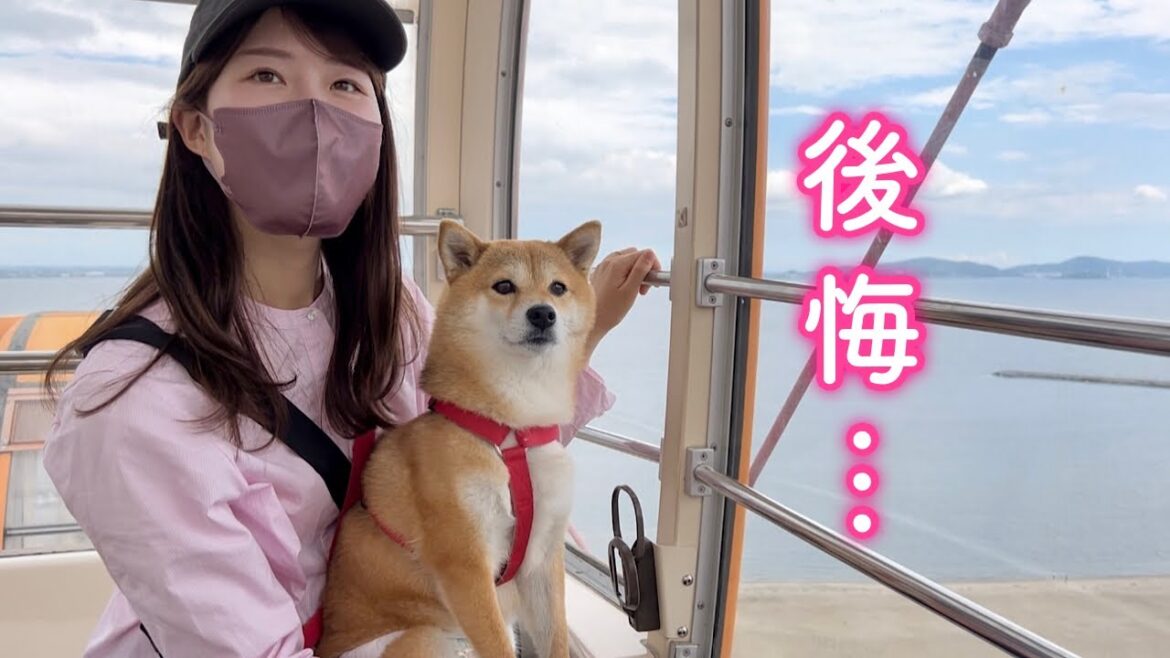 初めての観覧車に乗ったら大変なことになりました…