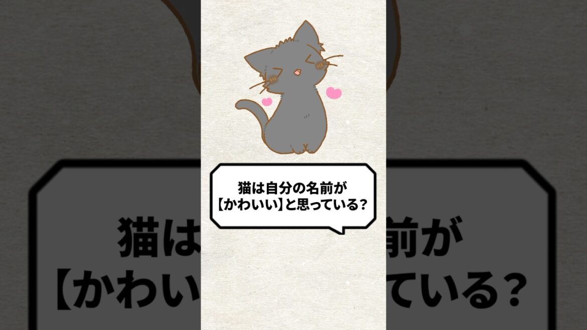 Q：猫って自分の名前が【かわいい】って思ってる？