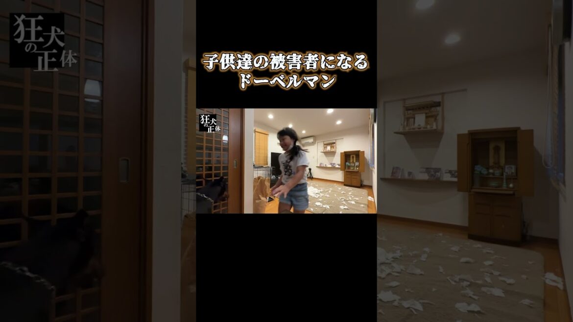 ドーベルマンの悲劇