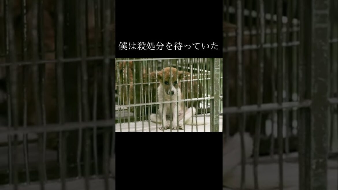 諦めない人達のおかげで今のぼくがあります 諦めない人達のおかげで今のぼくがあります