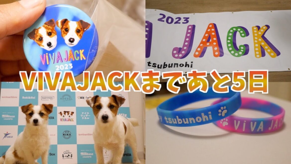 主催イベントVIVAJACKのグッズを制作しましたー!/ジャックラッセルテリア 主催イベントVIVAJACKのグッズを制作しましたー!/ジャックラッセルテリア