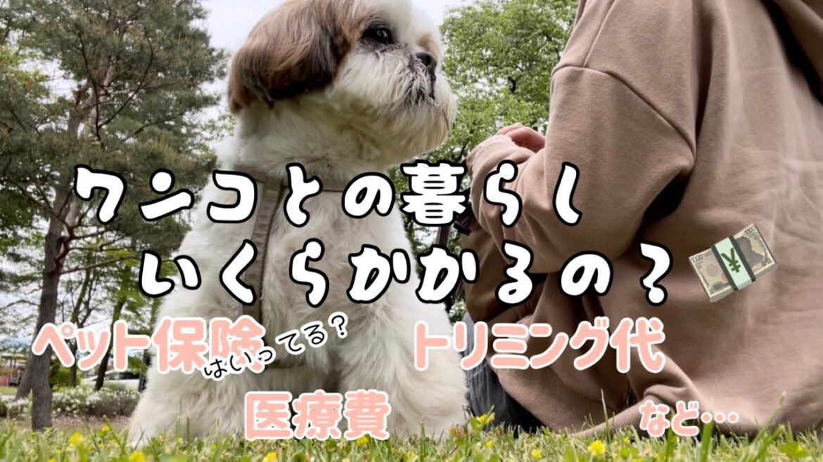 [シーズー多頭飼い]ワンコの生活費公開