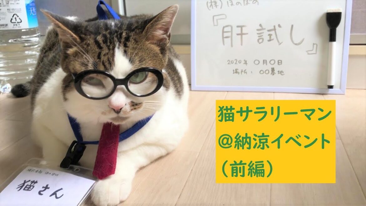 【日本猫＆キャバリア犬】可愛い2匹がサラリーマン＆OLに！！第46話「肝試し」(前編)