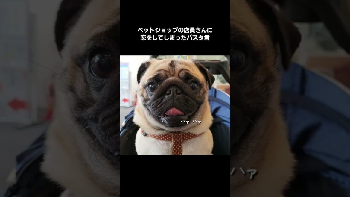 変態おじさんWWWWWWWWWWWWW