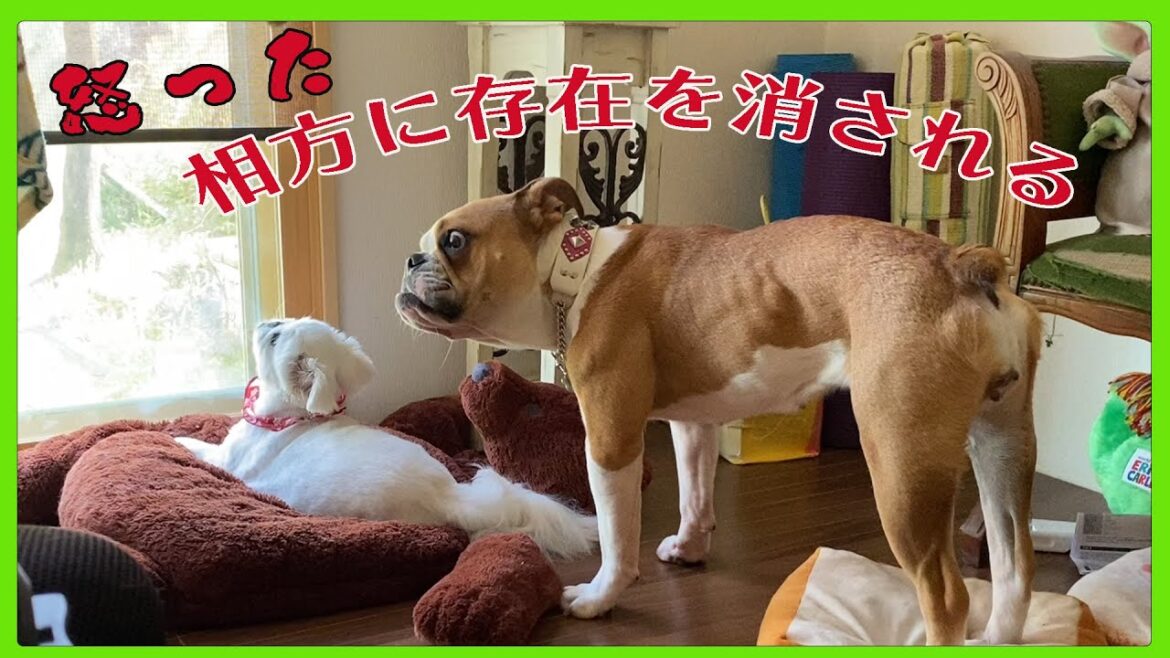 悪行がたたり遂に梅子に存在を消された竹子です…