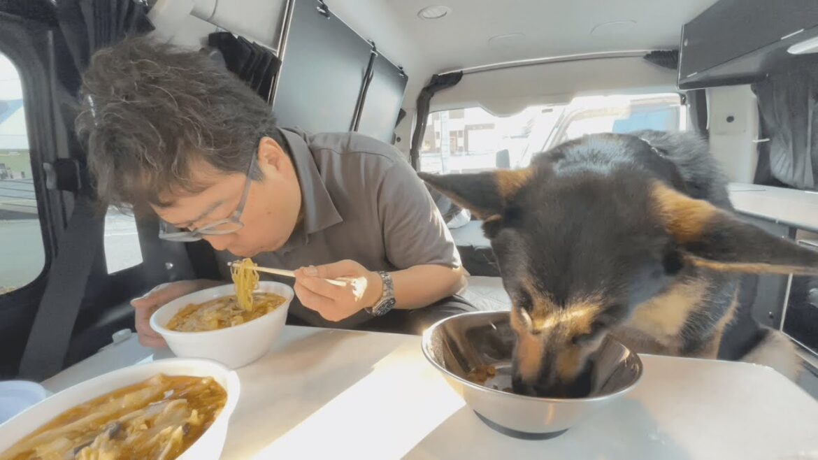 犬連れでも食べれる屋台ラーメンが美味しすぎた！【彩華ラーメン】