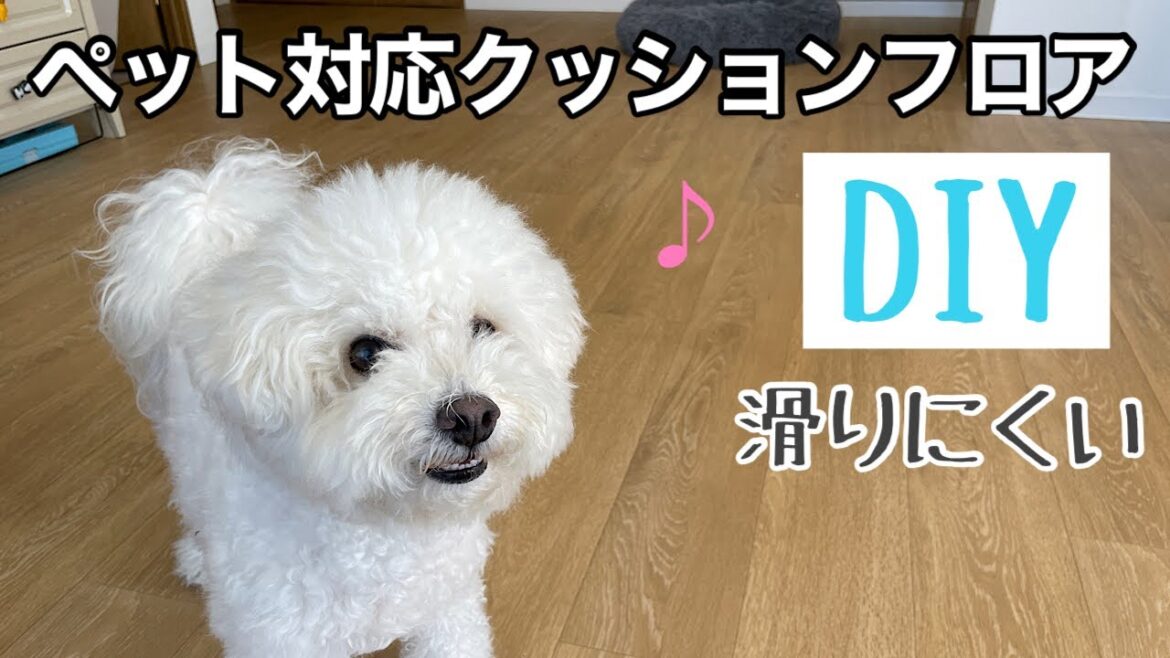 ペット対応クッションフロアDIY 【サンゲツ】【ビションフリーゼ】