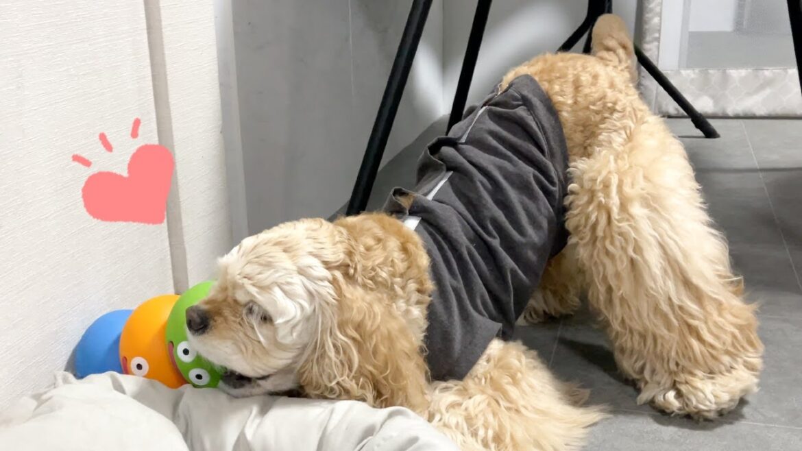 エンジン全開でスライムを転がすアメコカが可愛いんです