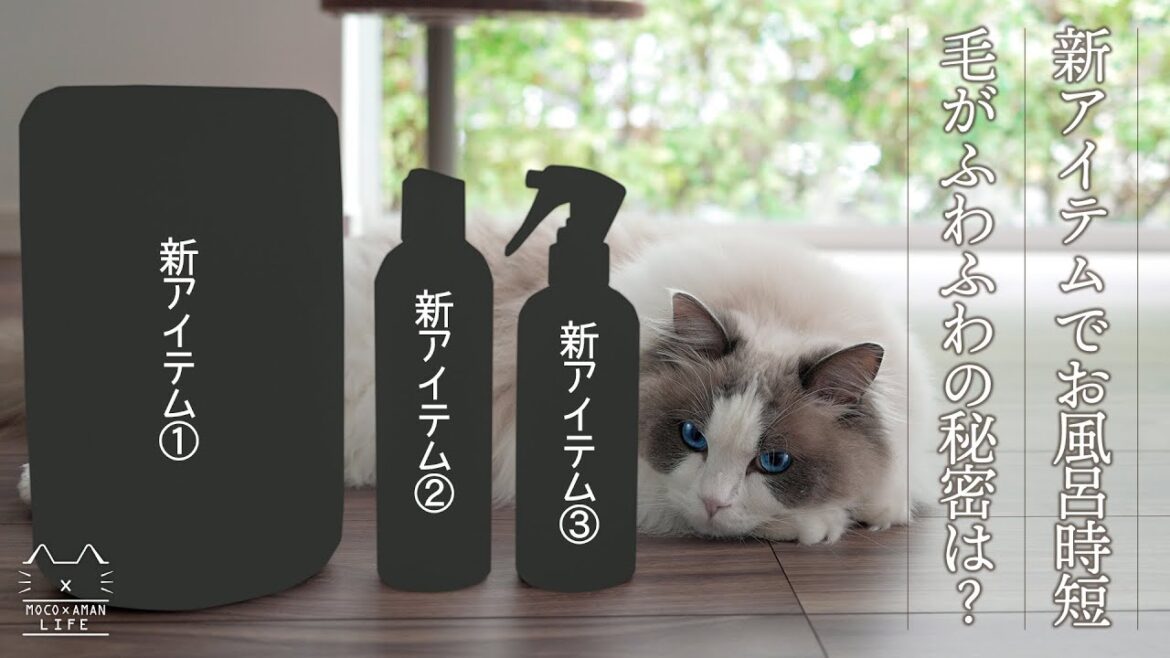 【猫初心者】新アイテムで猫のお風呂タイムを時短に!毛がふわふわの秘密は？