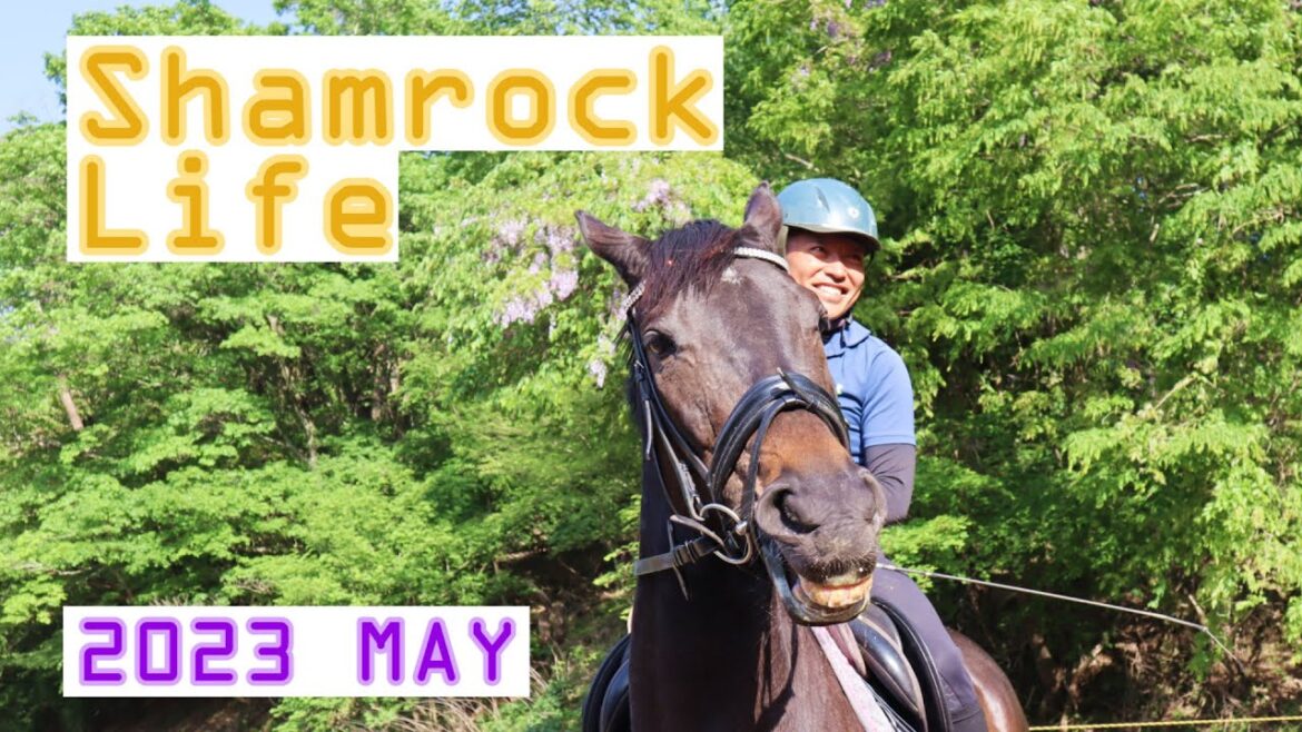 オバショット/5月のVlog