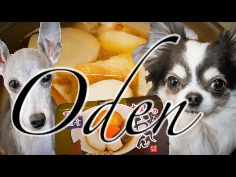 おでんを食べたチワワとイタリアングレーハウンド(イタグレ) おでんを食べたチワワとイタリアングレーハウンド(イタグレ)