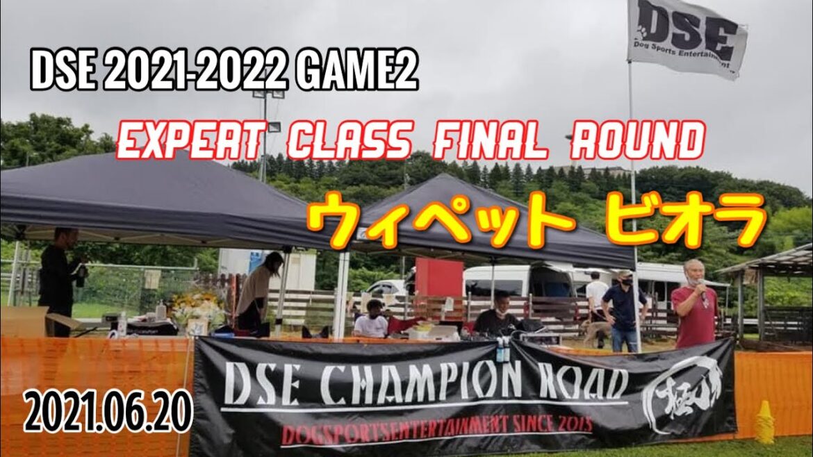 【ウィペット】ビオラ DSE GAME2 エキスパートクラス-決勝R 2021.06.20
