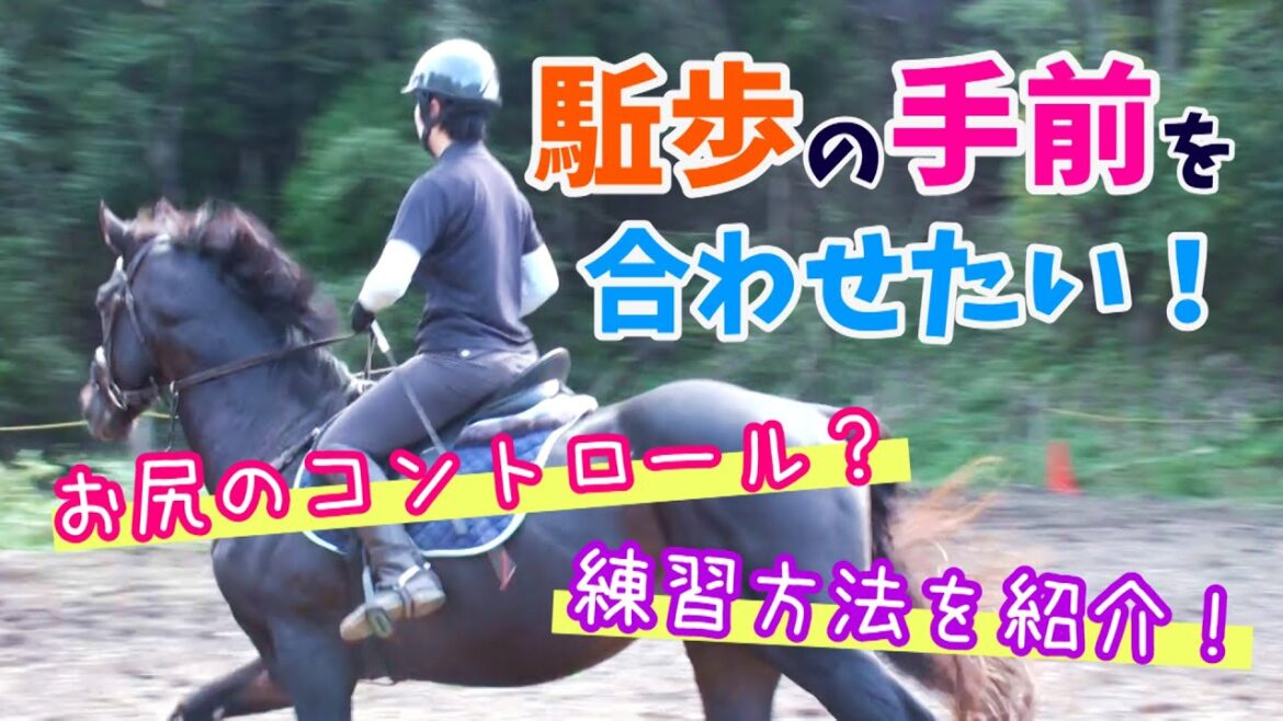 駈歩の手前を合わせたい！手前の出し分けの練習方法を紹介