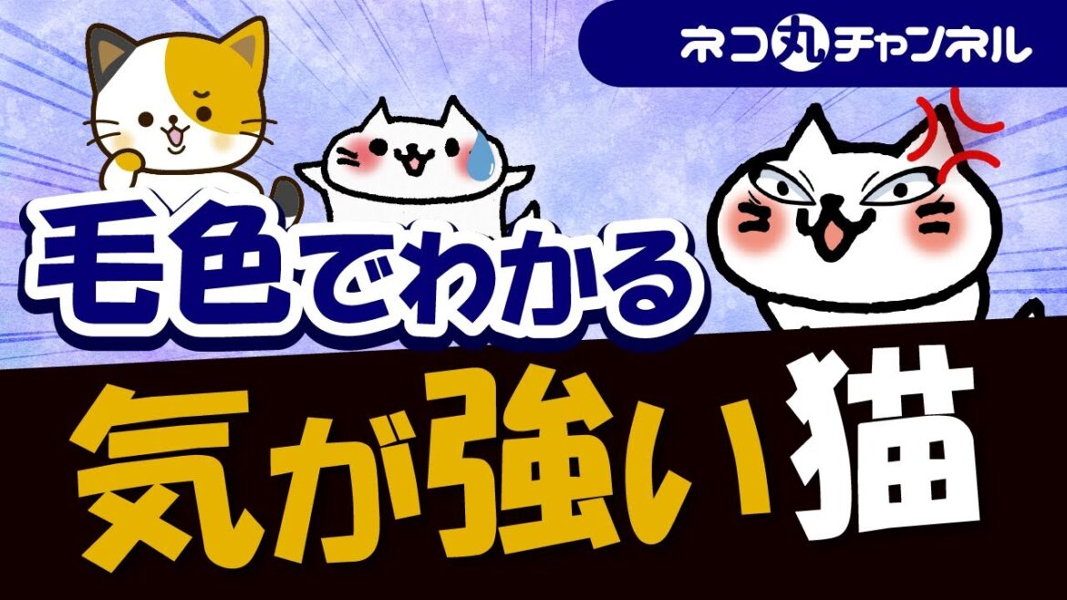 気が強い・警戒心・神経質な猫はどんな毛色の子が多いのか解説 気が強い・警戒心・神経質な猫はどんな毛色の子が多いのか解説
