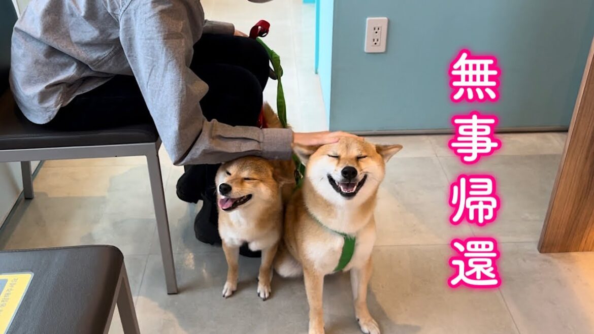 年に一度の一大イベントが無事終了しました。