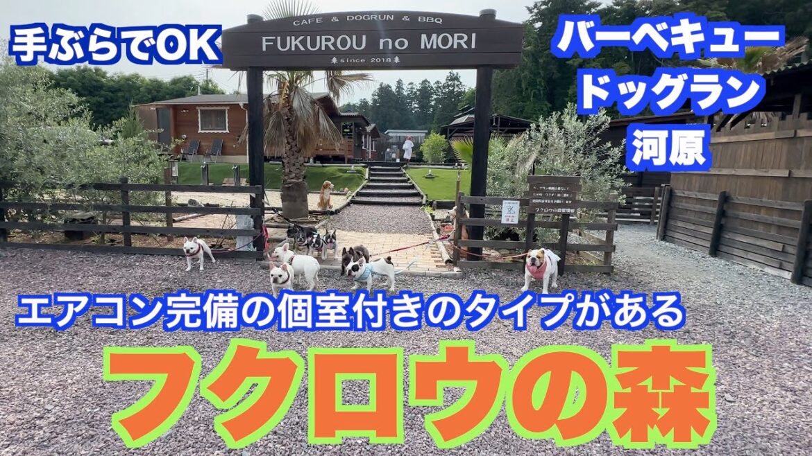 フクロウの森 【 フレンチブルドッグ french_bulldog 】バーベキュー ドッグラン 河原 手ぶらでOK