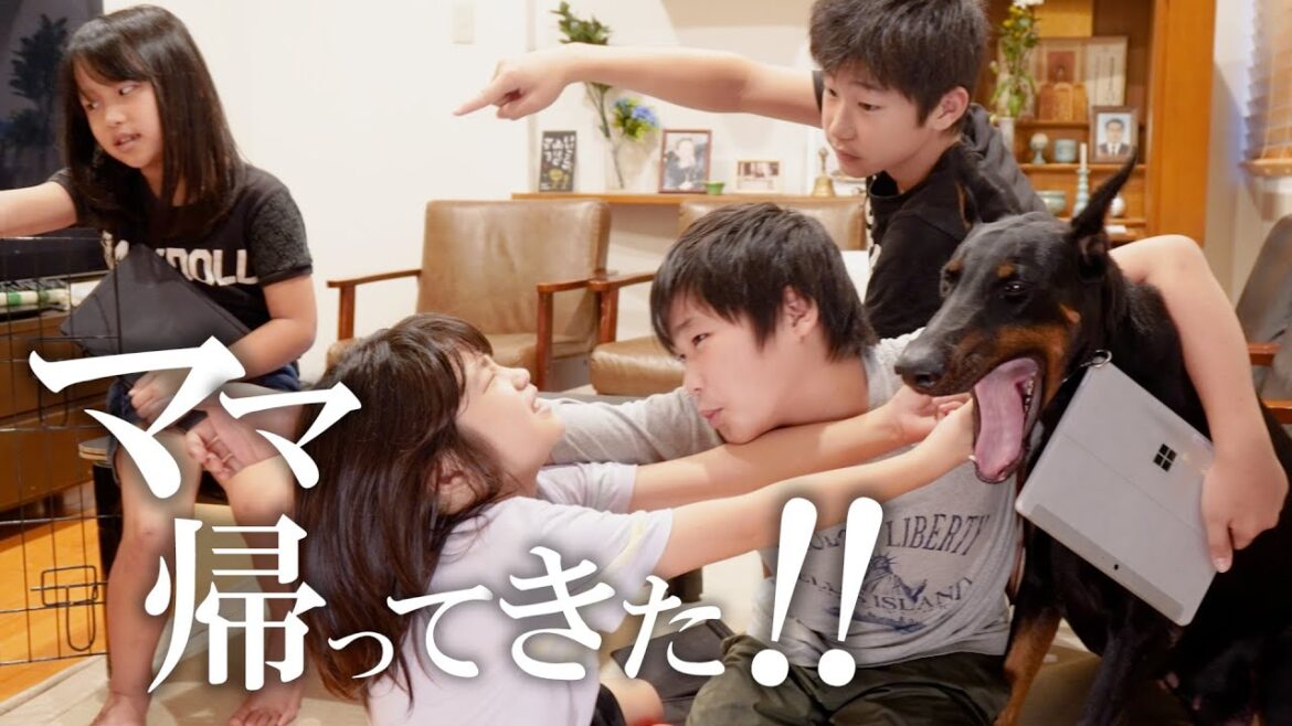 【盗撮】夏休みの宿題中にママが出かけたら予想外の事態に！？【ドーベルマン】